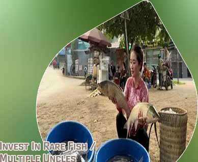 Fish market game